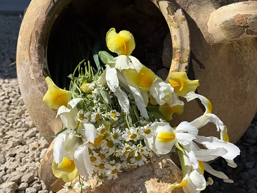 Immagine 41 di Pentalocale in vendita  in Via delle tessitrici 1 a Sannicola