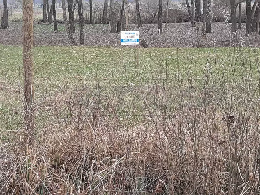 Immagine 16 di Terreno agricolo in vendita  a Arcugnano