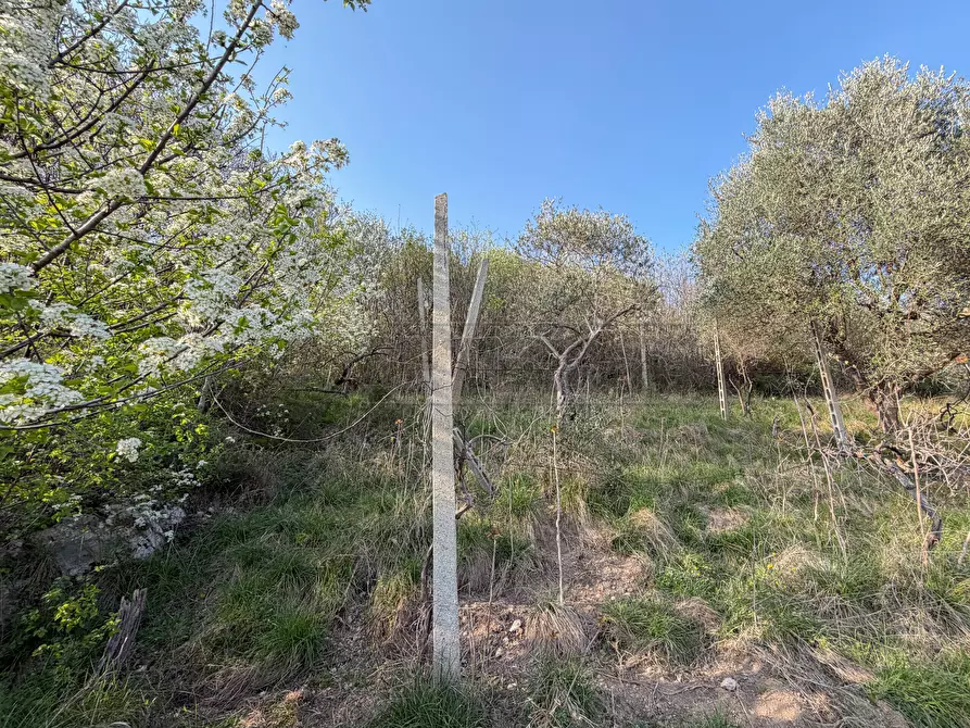Immagine 51 di Porzione di casa in vendita  in Via Lupia 11 a Val Liona