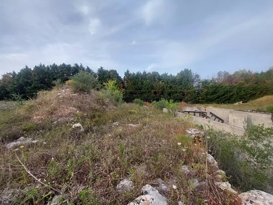 Immagine 4 di Terreno agricolo in vendita  in Contrada Maccallè a Muro Leccese