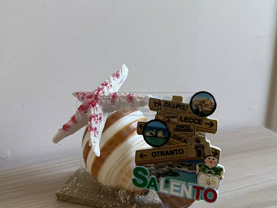 Immagine 135 di Pentalocale in vendita  in Via delle tessitrici 1 a Sannicola