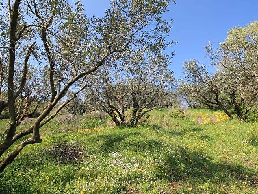 Immagine 12 di Rustico / casale in vendita  in Via San Nicolò 7 a Montorso Vicentino