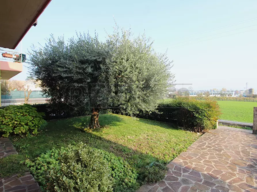 Immagine 3 di Casa semindipendente in vendita  in Via Costeggiola 5 a Zermeghedo