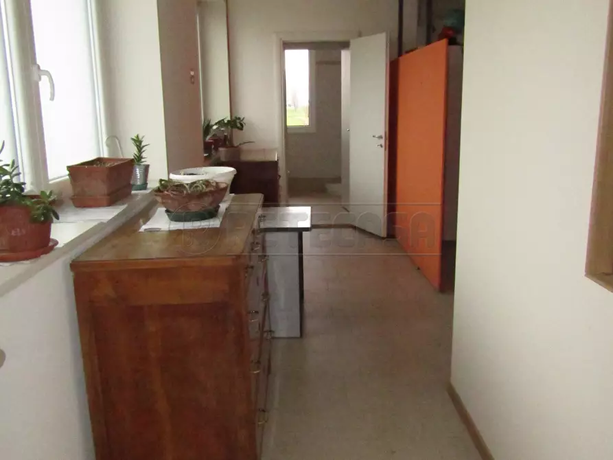 Immagine 5 di Ufficio in affitto  a Borgoricco