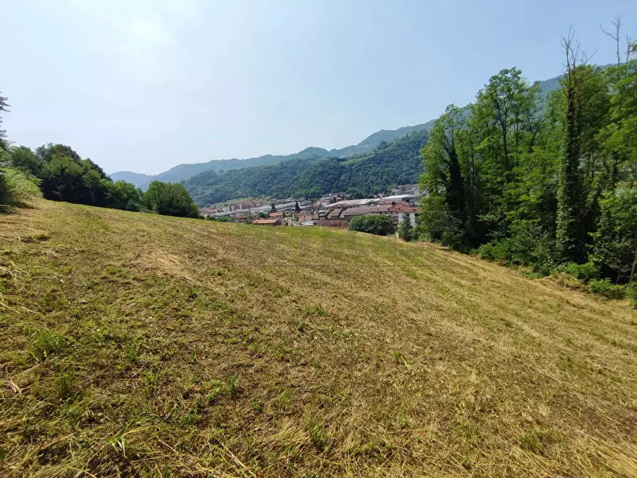 Immagine 7 di Terreno agricolo in vendita  in Via Sgaggeri 4 a Chiampo