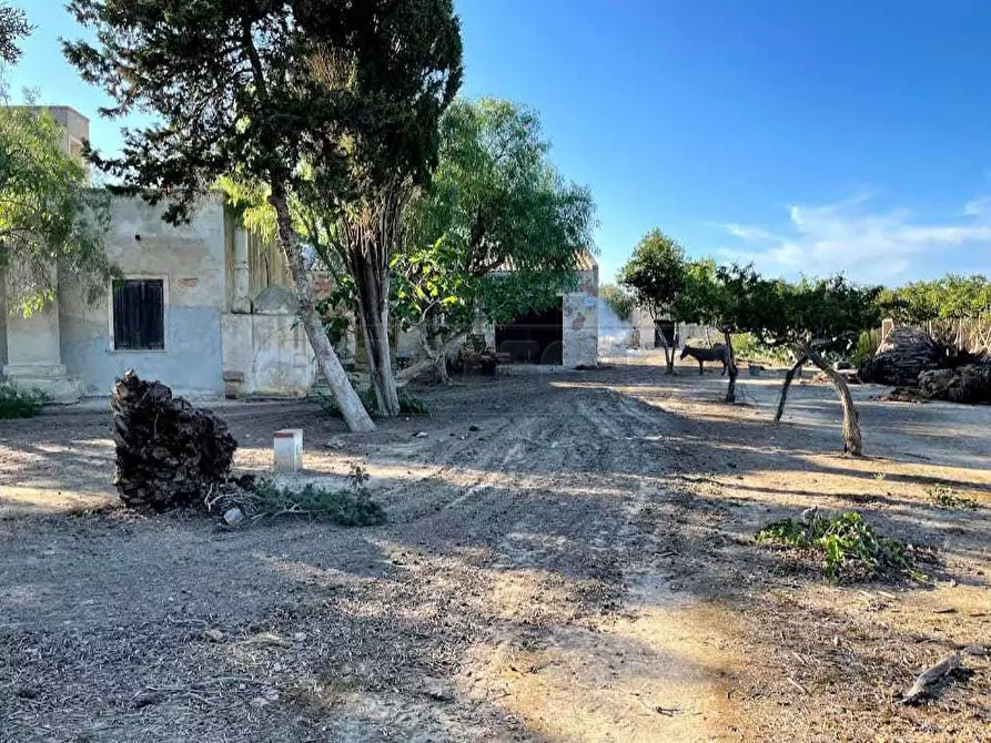 Immagine 8 di Villa in vendita  a Marsala