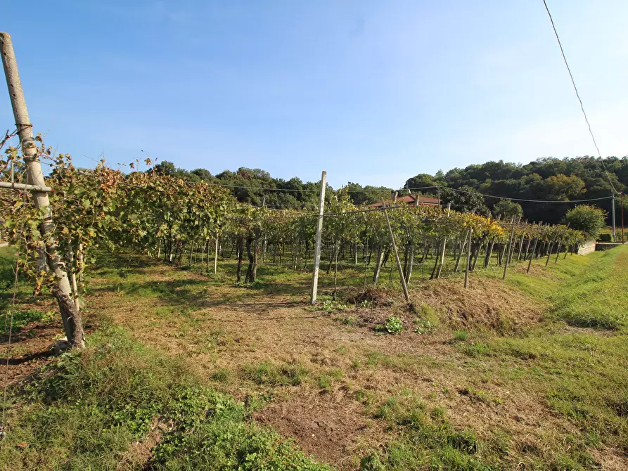 Immagine 3 di Terreno edificabile in vendita  in Via Calderina 8 a Gambellara