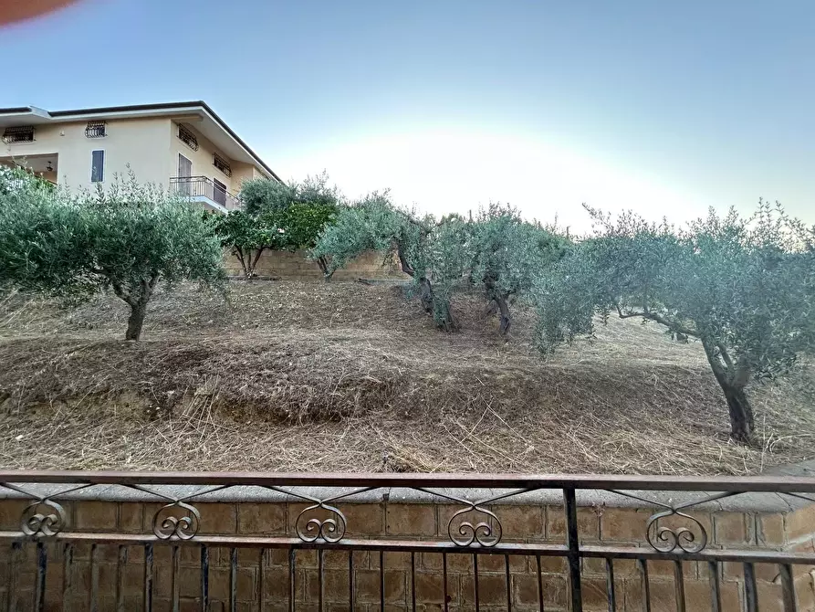 Immagine 18 di Villa in vendita  in contrada Serra Pantano a Caltanissetta