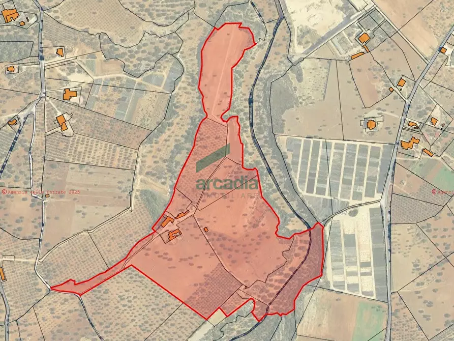 Immagine 42 di Rustico / casale in vendita  in Contrada Cristo delle Zolle 209 a Monopoli