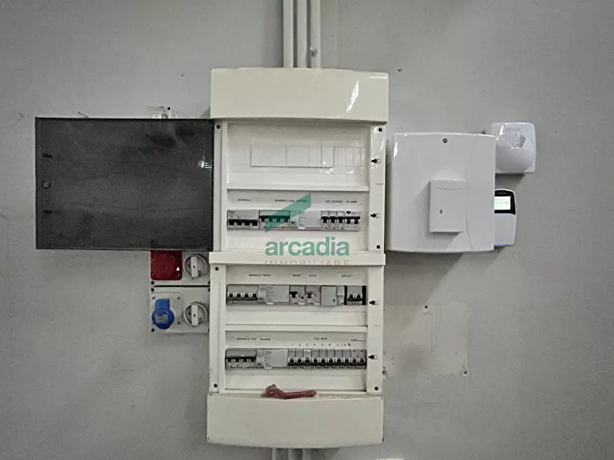 Immagine 8 di Attività artigianale in affitto  in Via Modugno 97 a Bitonto