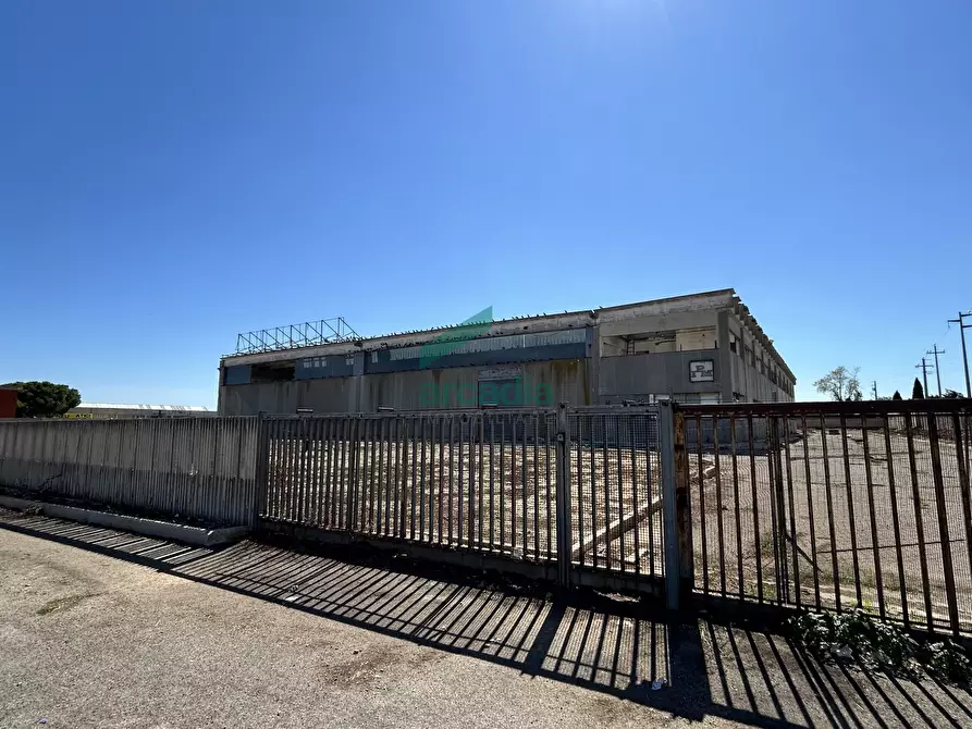 Immagine 17 di Attività artigianale in affitto  in Viale Francesco de Blasio 46 a Modugno