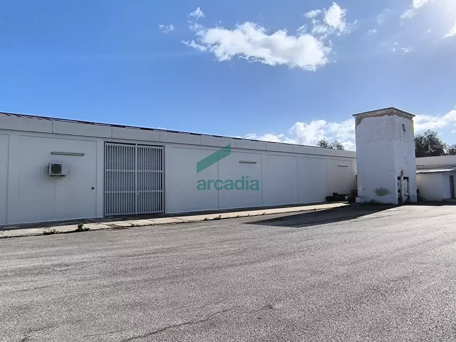 Immagine 27 di Attività artigianale in affitto  in S.S. 16 km 810,800 SN a Triggiano