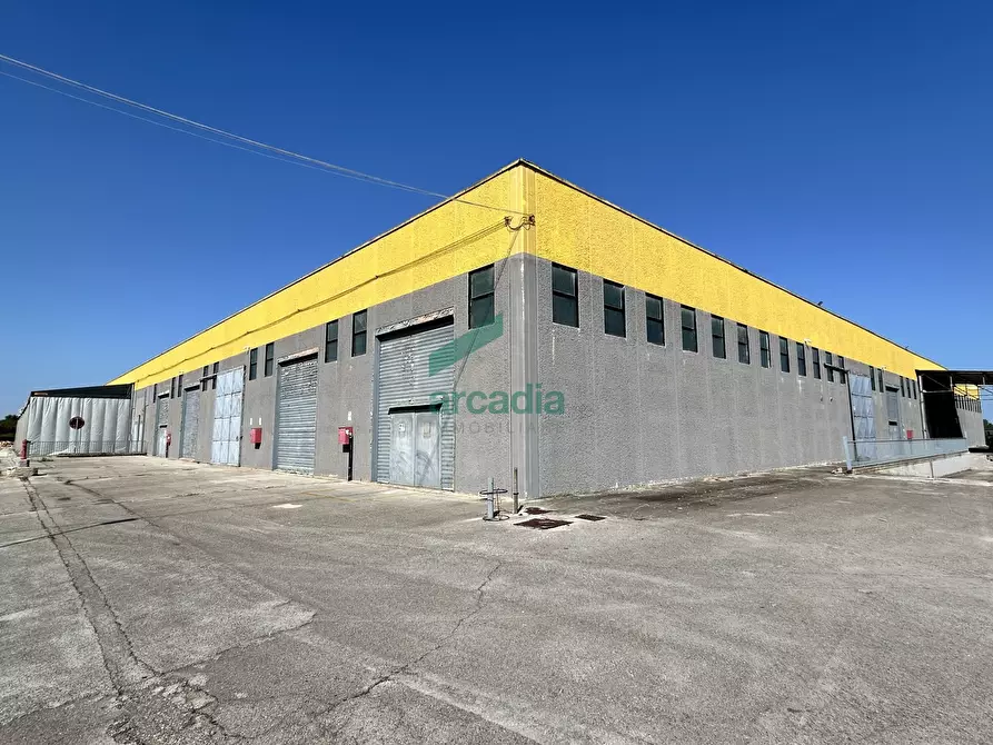 Immagine 10 di Attività artigianale in affitto  in SP231 98 a Terlizzi