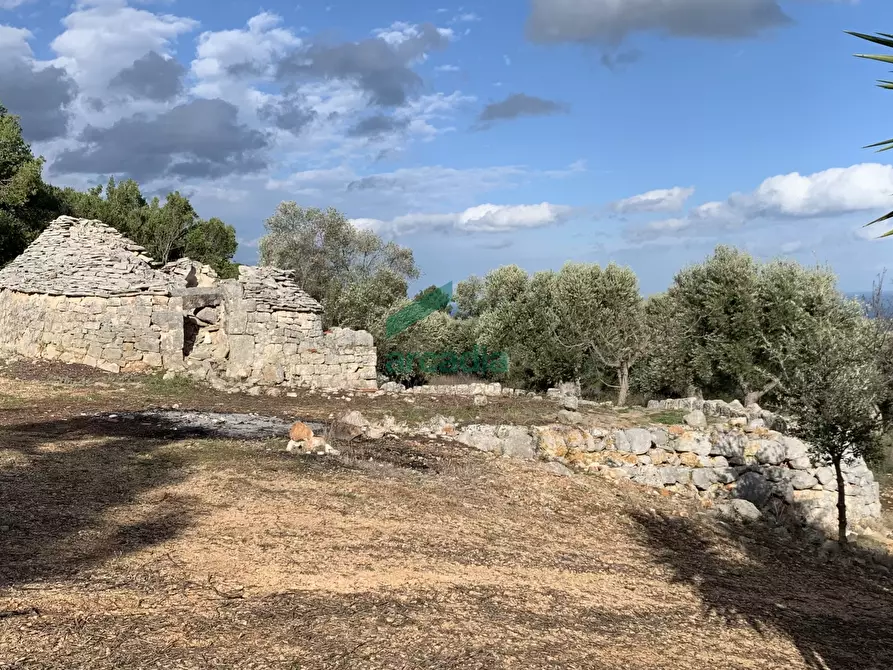 Immagine 15 di Rustico / casale in vendita  in Contrada Torchiano a Monopoli