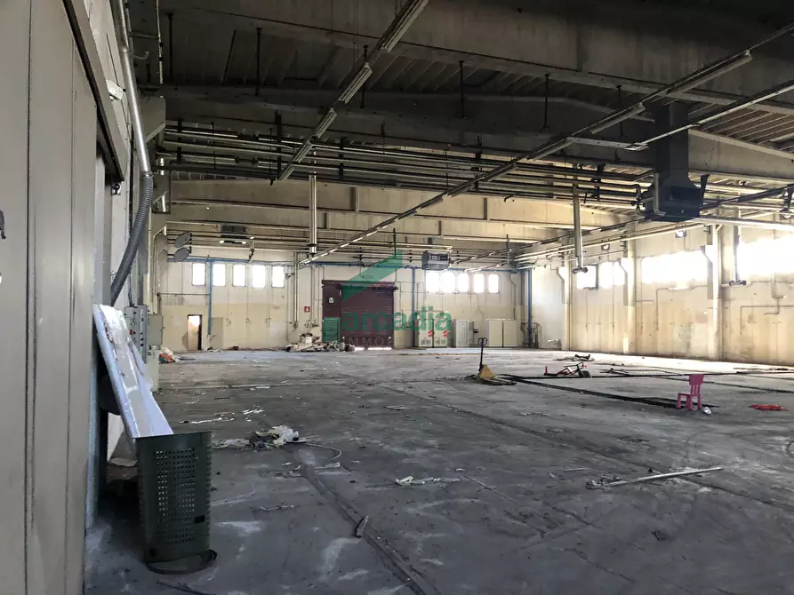 Immagine 2 di Attività artigianale in affitto  in SP231 a Bitonto