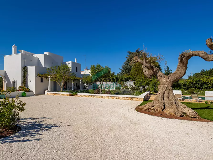 Immagine 34 di Rustico / casale in vendita  in Strada Provinciale 120 774 a Polignano A Mare