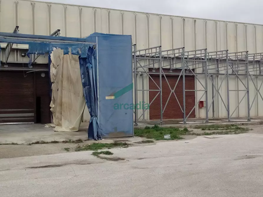 Immagine 4 di Attività artigianale in affitto  in SP231 KM 3,800 a Bitonto