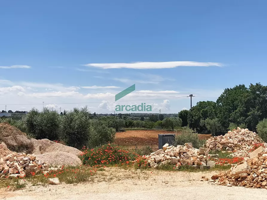 Immagine 9 di Rustico / casale in vendita  in Via Coreggia a Alberobello