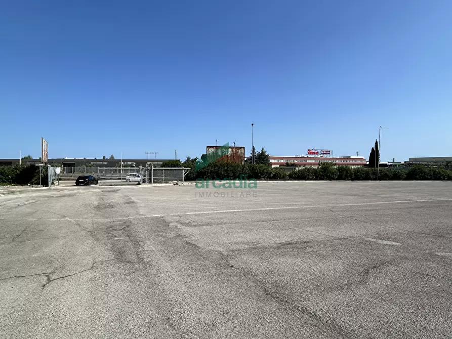 Immagine 21 di Attività artigianale in affitto  in SP231 98 a Terlizzi