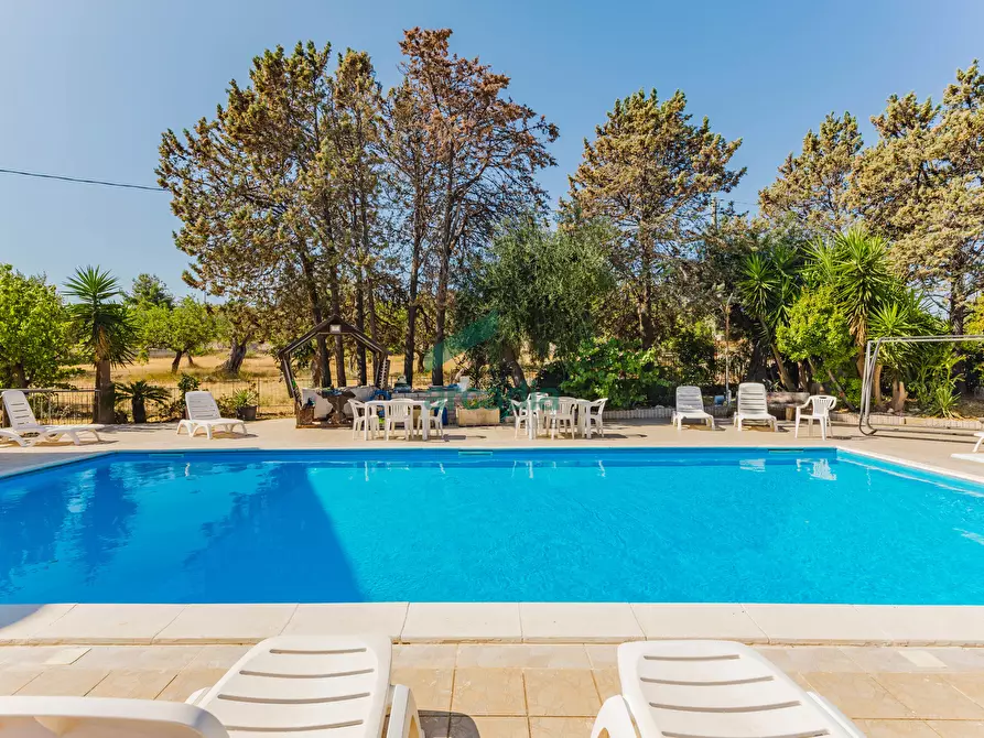 Immagine 8 di Villa in vendita  in Contrada San Michele Monte 15 a Conversano