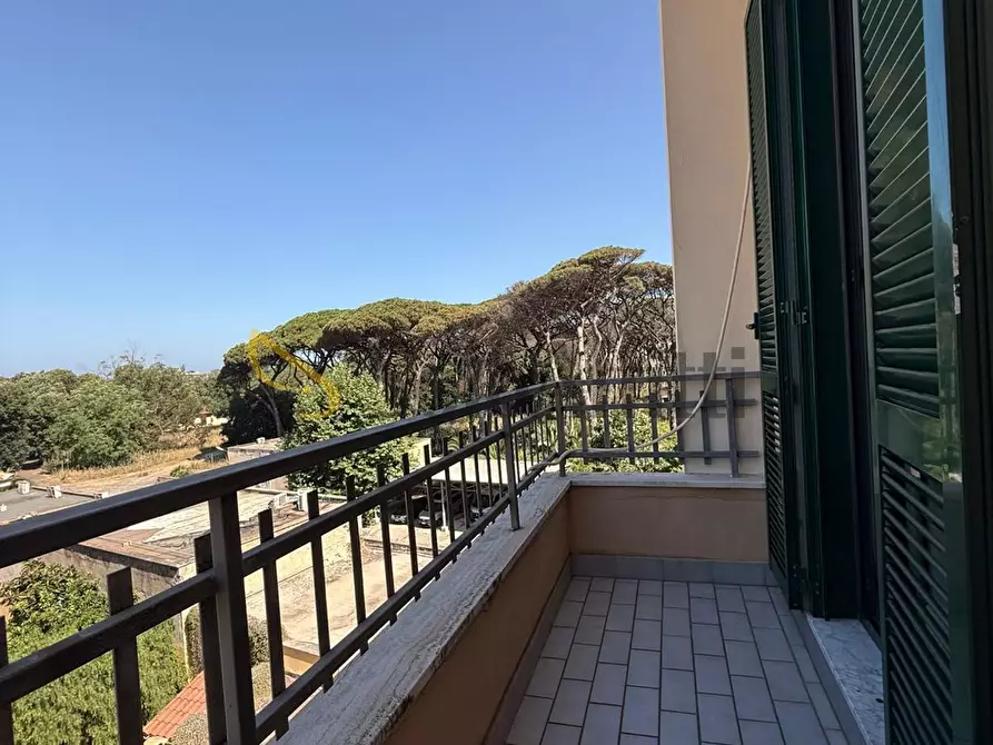 Immagine 18 di Trilocale in affitto  in Via Giacomo Matteotti a Anzio
