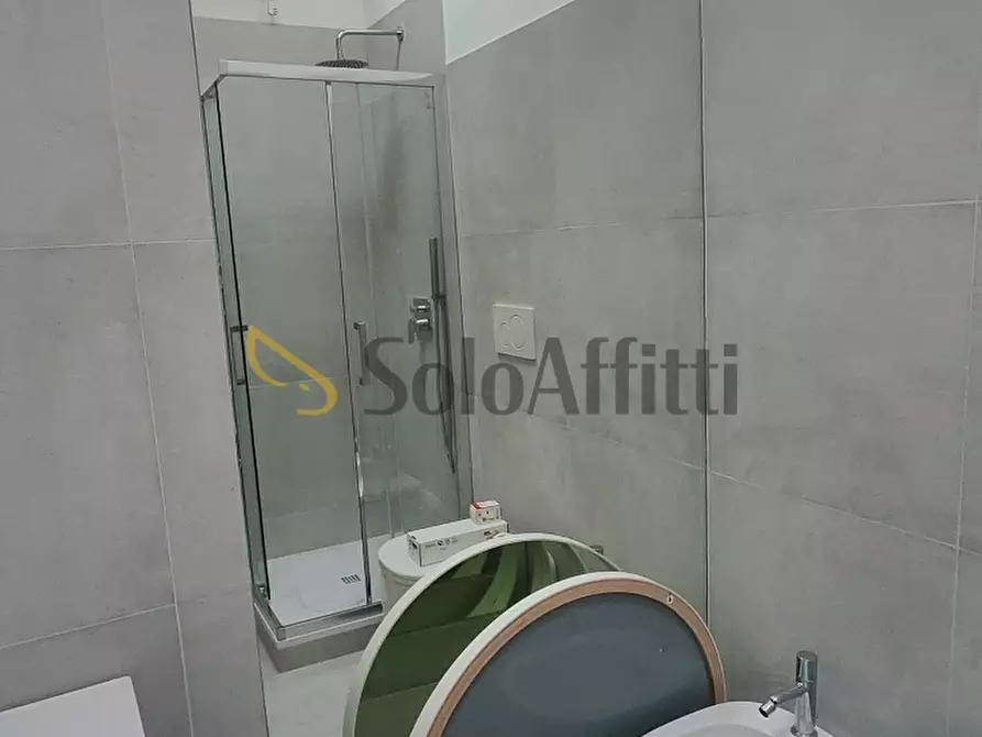 Immagine 36 di Bilocale in affitto  in Casottole (Torre d'isola) a Torre D'isola