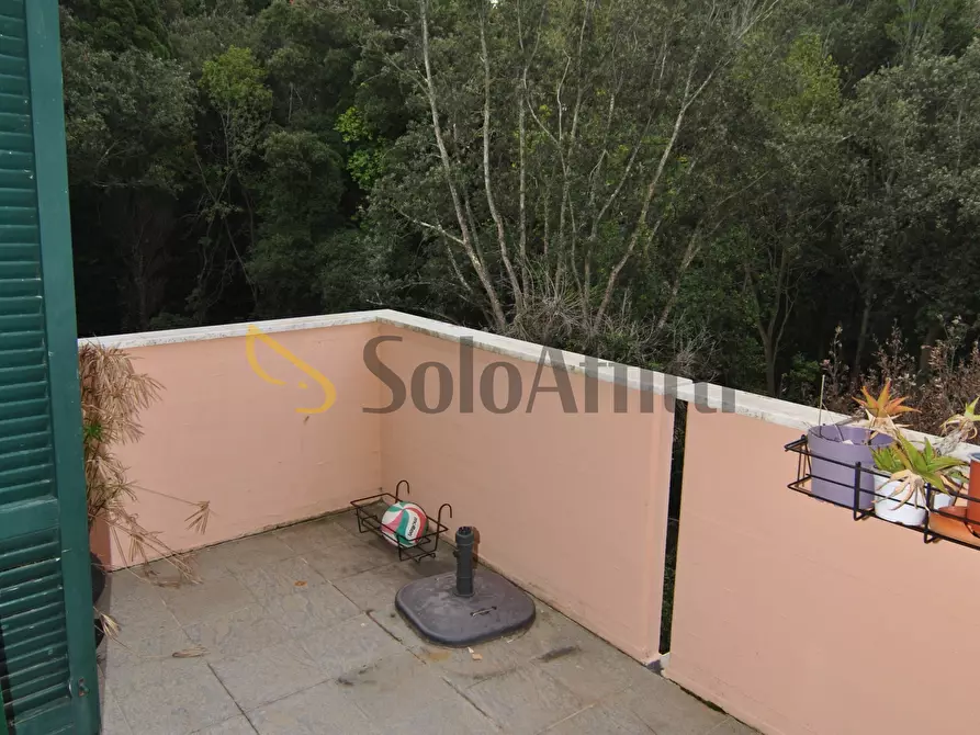 Immagine 10 di Casa indipendente in affitto  in Via di Montenero 191 a Livorno