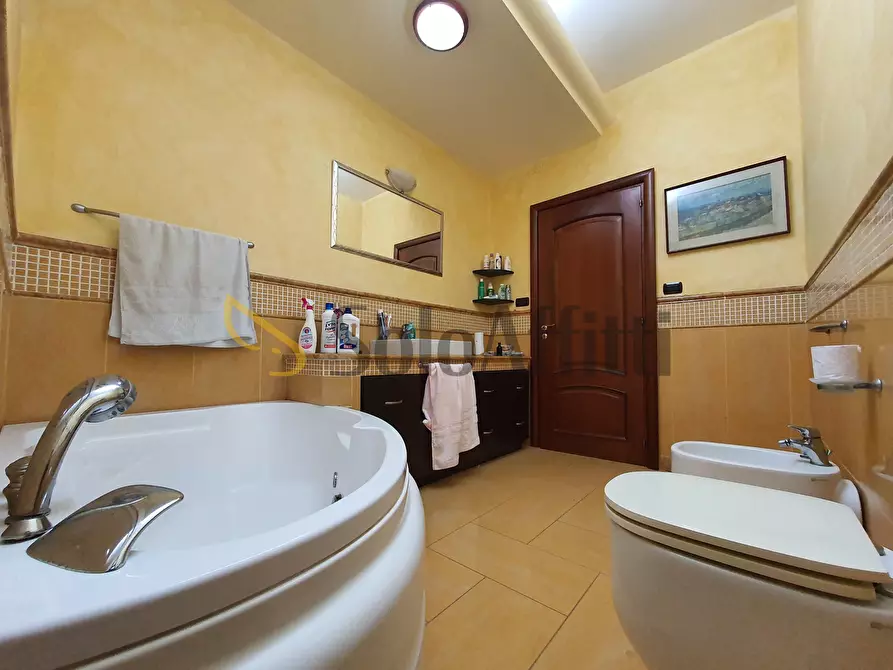 Immagine 12 di Trilocale in affitto  a Catanzaro