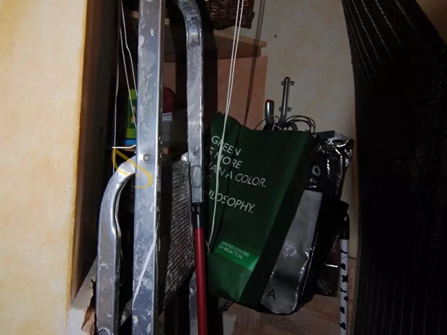 Immagine 6 di Trilocale in affitto  a Livorno