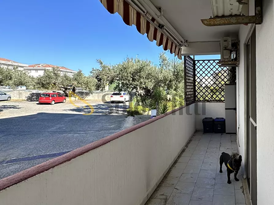 Immagine 6 di Trilocale in affitto  a Catanzaro