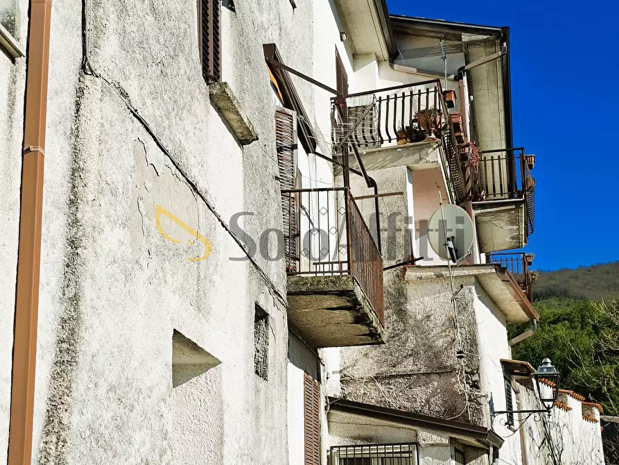 Immagine 31 di Trilocale in affitto  in Sipicciano - via Sant'Anna 4 a Galluccio