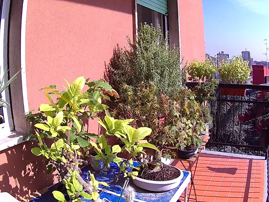 Immagine 15 di Bilocale in affitto  in Via Luigi Pirandello 5 a Cinisello Balsamo
