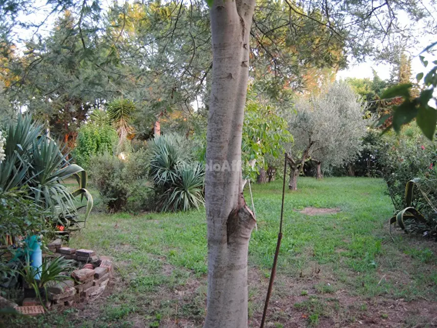 Immagine 1 di Casa indipendente in affitto  in VIA CIMAROSA 3 a Livorno