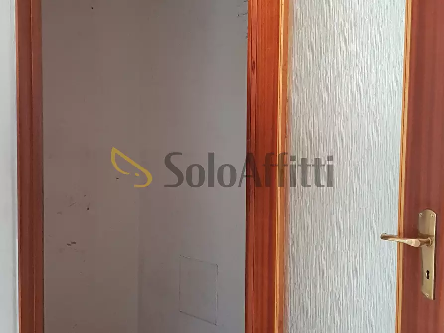Immagine 19 di Quadrilocale in affitto  in Via Rosolino Pilo a Torino