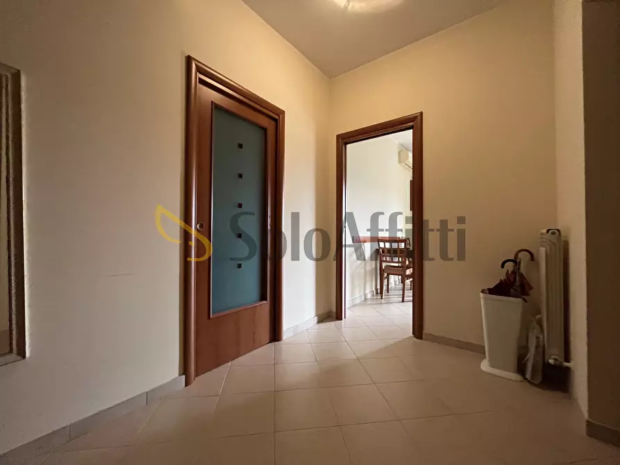 Immagine 5 di Trilocale in affitto  a Catanzaro