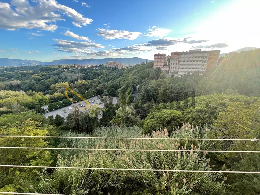 Immagine 19 di Stanza singola in affitto  a Frosinone