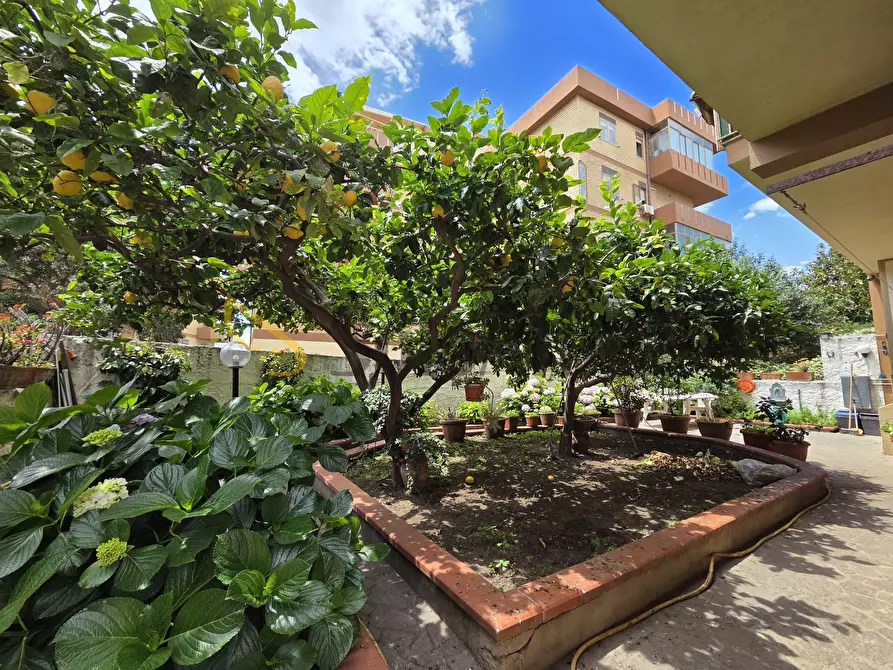 Immagine 15 di Quadrilocale in affitto  a Catanzaro