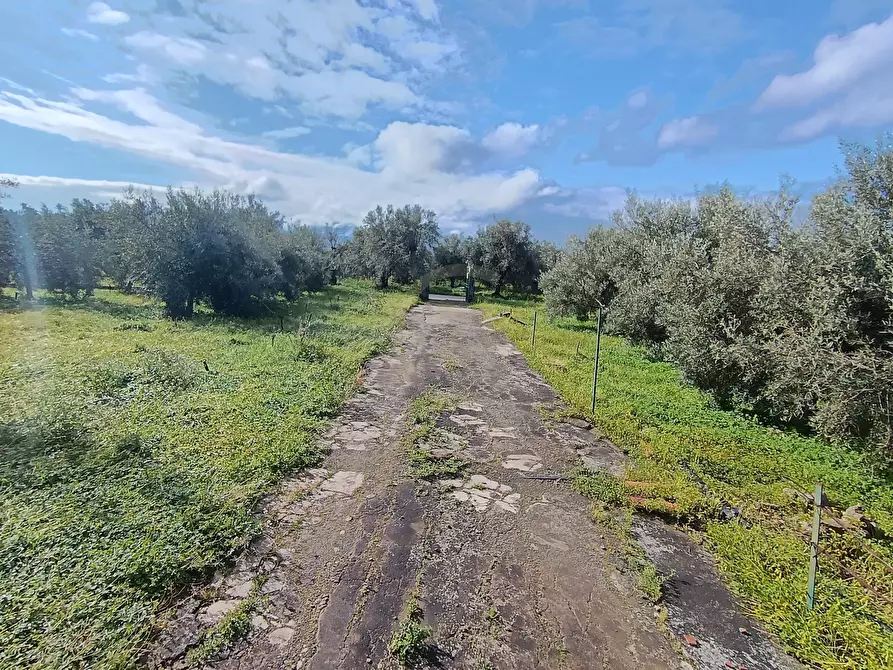 Immagine 15 di Terreno agricolo in vendita  in GRV6+27 Paternò, Città metropolitana di Catania a Paterno'