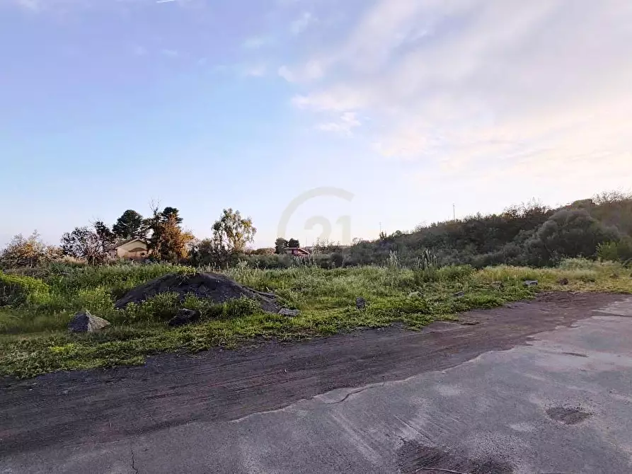 Immagine 2 di Terreno agricolo in vendita  a Mascalucia