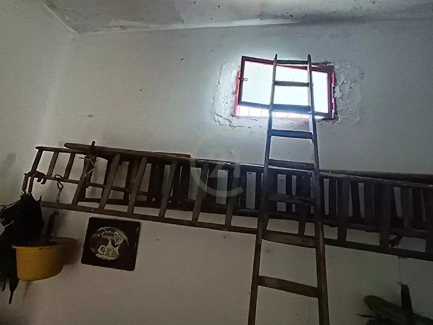 Immagine 18 di Terreno agricolo in vendita  in GRV6+27 Paternò, Città metropolitana di Catania a Paterno'