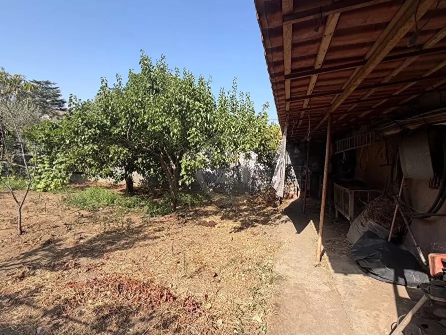Immagine 7 di Appartamento in vendita  a Mascalucia