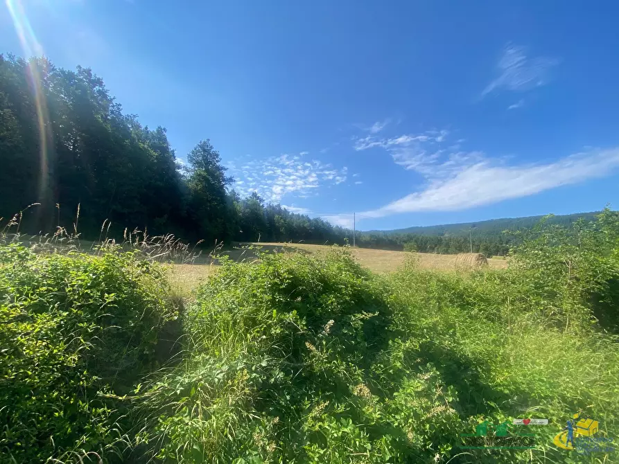 Immagine 5 di Terreno agricolo in vendita  in Località Molinelli 59 a Berceto