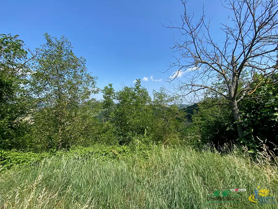 Immagine 4 di Terratetto in vendita  in SP54 109 a Medesano