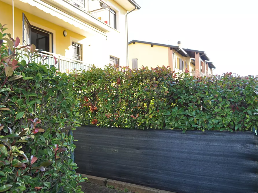 Immagine 52 di Trilocale in vendita  in Via Bussolati a Fontanellato