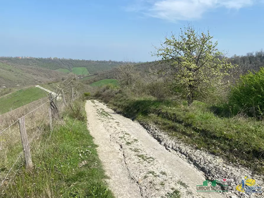 Immagine 5 di Terreno agricolo in vendita  in Miano a Medesano