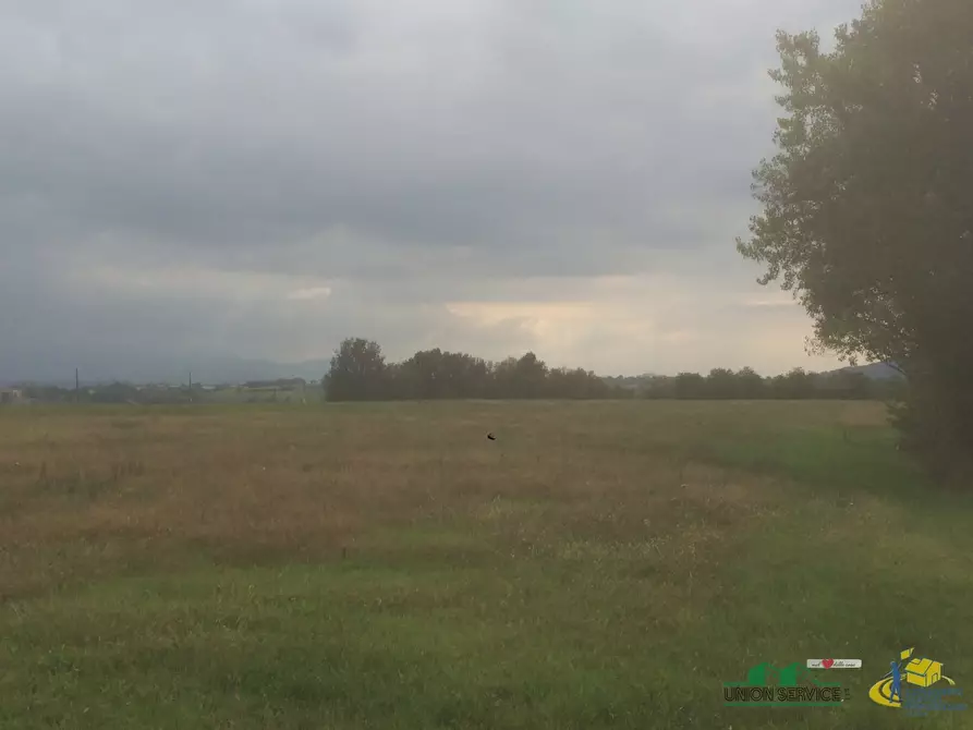 Immagine 1 di Attività artigianale in vendita  in Noceto a Noceto