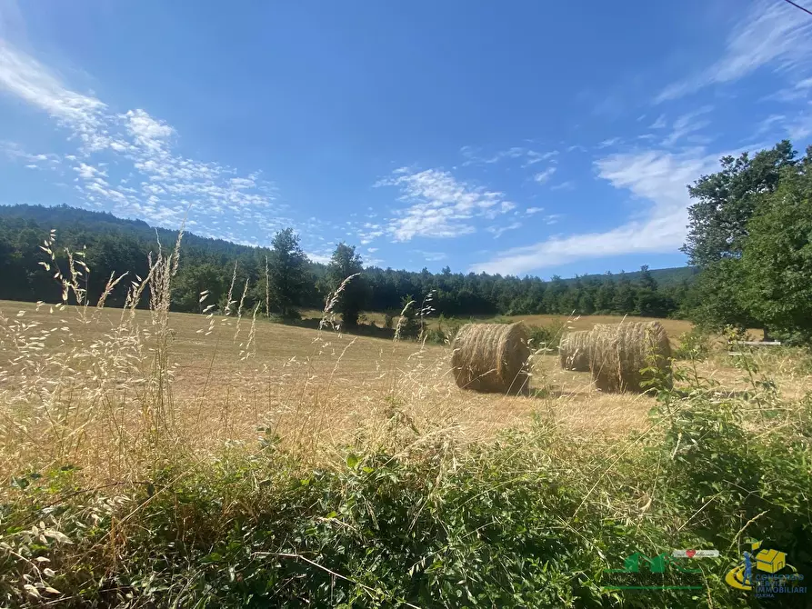 Immagine 8 di Terreno agricolo in vendita  in Località Molinelli 59 a Berceto