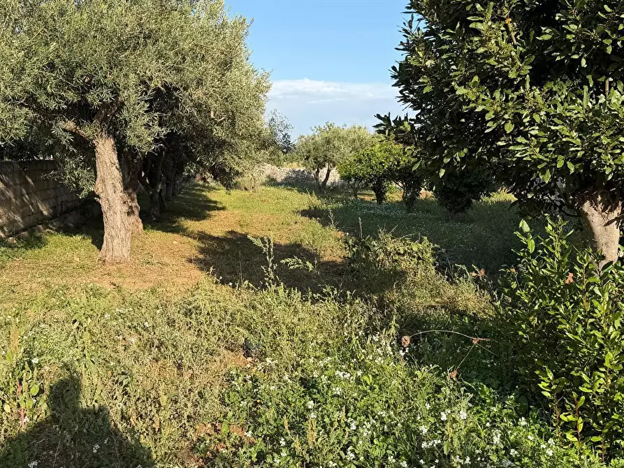 Immagine 18 di Villa in vendita  in SP45 5 a Modica