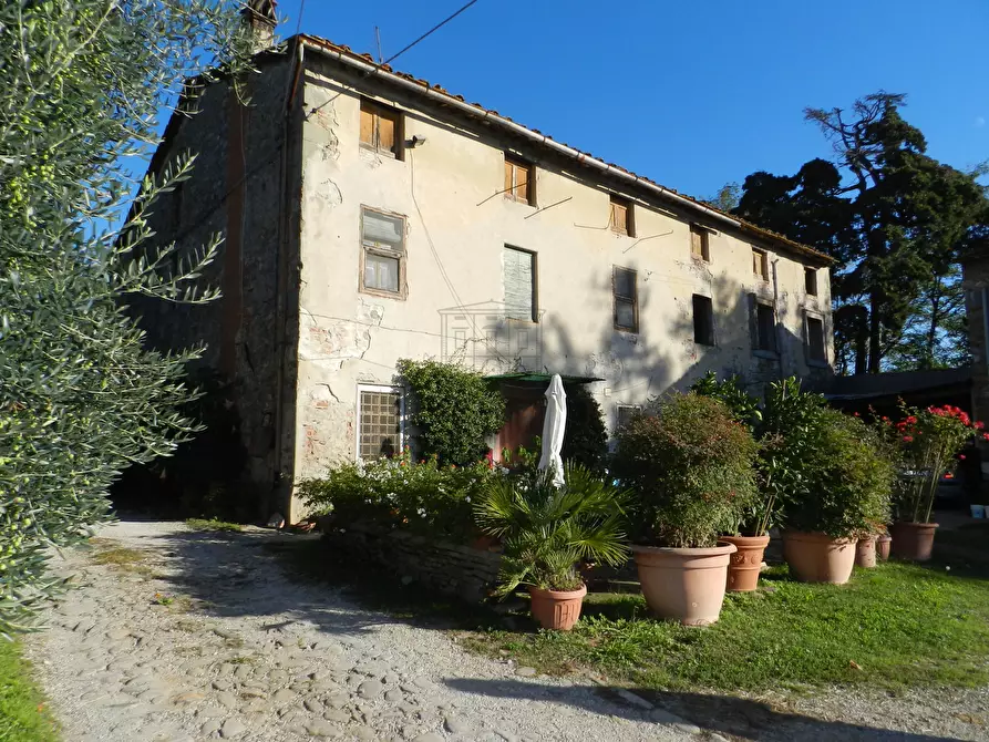 Immagine 1 di Rustico / casale in vendita  in Via di Palmata 425 a Lucca