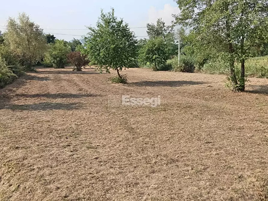 Immagine 4 di Terreno agricolo in vendita  in Via per Chiatri a Lucca
